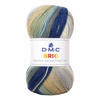 DMC Brio DK garen kleur 401