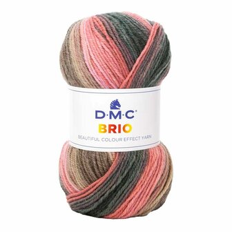 DMC Brio DK garen kleur 404