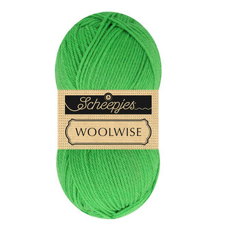 Scheepjes Woolwise 757 Kiwi Green