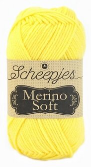 Merino soft Warhol 640 Scheepjes