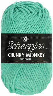 Chunky Monkey Aqua 1422 Scheepjes 